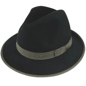 Barney Hat-21629